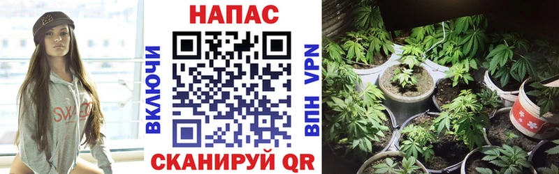 Купить наркотик Берёзовка МАРИХУАНА Кокаин СК Мефедрон ГАШИШ