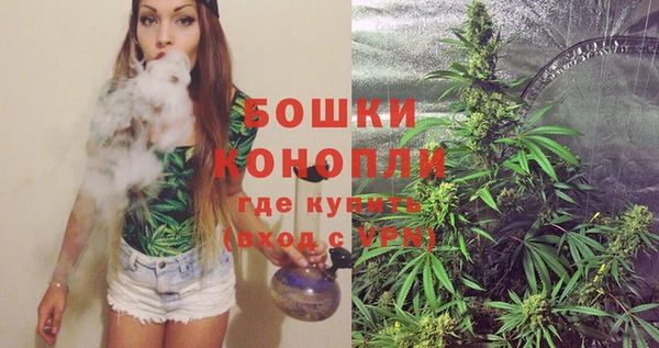 МДПВ Богородицк