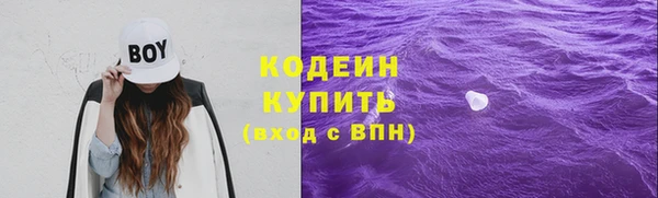 гидра Богданович