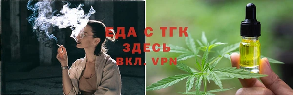 гидра Богданович