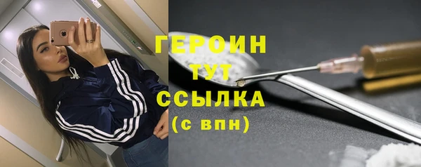 гидра Богданович