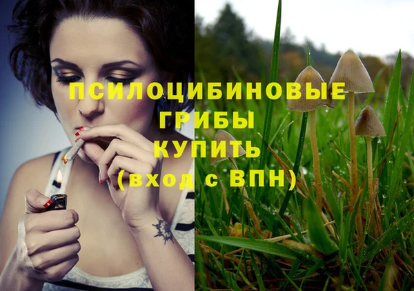 гидра Богданович