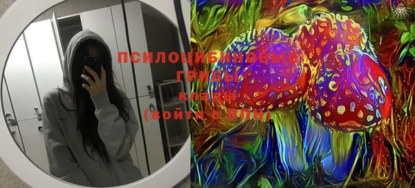МДПВ Богородицк