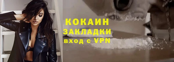 МДПВ Богородицк