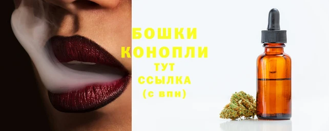 шишки Бронницы