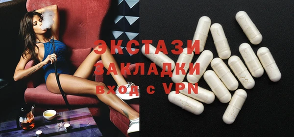 гидра Богданович