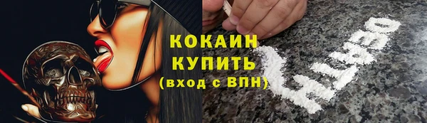 гидра Богданович